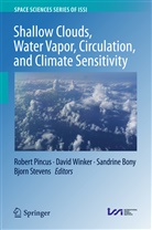 Sandrine Bony, Sandrine Bony et al, Robert Pincus, Bjorn Stevens, Davi Winker, David Winker - Shallow Clouds, Water Vapor, Circulation, and Climate Sensitivity