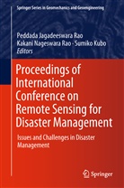 Sumiko Kubo, Kakan Nageswara Rao, Kakani Nageswara Rao, Kakani Nageswara Rao, Peddada Jagadeeswara Rao - Proceedings of International Conference on Remote Sensing for Disaster Management