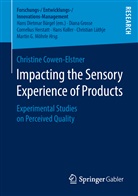 Christine Cowen-Elstner - Impacting the Sensory Experience of Products
