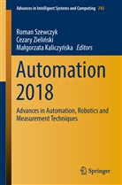 Ma¿gorzata Kaliczy¿ska, Malgorzata Kaliczynska, Małgorzata Kaliczyńska, Roman Szewczyk, Cezary Zieli¿ski, Cezar Zielinski... - Automation 2018