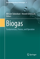 Ghanavati, Ghanavati, Hossein Ghanavati, Meisa Tabatabaei, Meisam Tabatabaei - Biogas