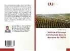 Sidi Abassé Tapsoba - Maîtrise d'Ouvrage Communale dans le domaine de l'AEPA