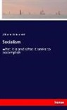 Wilhelm Liebknecht - Socialism