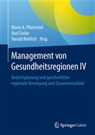 Axe Focke, Axel Focke, Harald Mehlich, Mario A. Pfannstiel - Management von Gesundheitsregionen IV