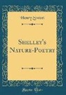 Henry Sweet - Shelley's Nature-Poetry (Classic Reprint)