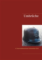 Rol Schamberger, Rolf Schamberger - Umbrüche