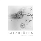 Henrieke Strecker - Salzblüten