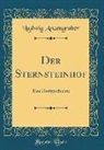 Ludwig Anzengruber - Der Sternsteinhof