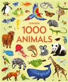Jessica Greenwell, Greenwell Jessica, Nikki Dyson, Dyson Nikki, Jessica Greenwell - 1000 Animals