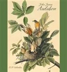 John James Audubon, Not Available (NA) - John James Audubon 2019 Calendar