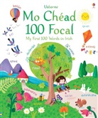 Felicity Brooks, Sophia Touliatou, Sophia Touliatou - My First 100 Words in Irish