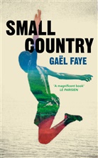 Gael Faye, Gaël Faye - Small Country