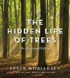 Peter Wohlleben, Rae Wohlleben, Wohlleben Peter - The Hidden Life of Trees