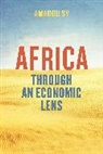 Amadou Sy - Africa Through an Economic Lens