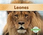 Claire Archer - Leones (Lions)