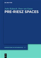 Onno van Gaans, Ank Kalauch, Anke Kalauch, Onno van Gaans - Pre-Riesz Spaces