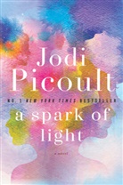 Jodi Picoult - A Spark of Light