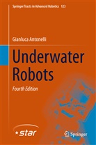 Gianluca Antonelli - Underwater Robots