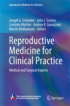 Martin Birkhaeuser, Martin Birkhäuser, Andrea R. Genazzani, Joh J Sciarra, John J Sciarra, Liselotte Mettler... - Reproductive Medicine for Clinical Practice