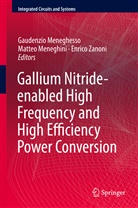 Gaudenzio Meneghesso, Matte Meneghini, Matteo Meneghini, Enrico Zanoni - Gallium Nitride-enabled High Frequency and High Efficiency Power Conversion
