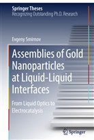 Eugene Smirnov, Evgeny Smirnov - Assemblies of Gold Nanoparticles at Liquid-Liquid Interfaces