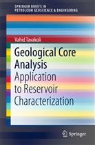 Vahid Tavakoli - Geological Core Analysis