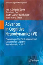 José Delgado-García, José M. Delgado-García, Xiaochua Pan, Xiaochuan Pan, Raudel Sánchez-Campusano, Raudel Sánchez-Campusano et al... - Advances in Cognitive Neurodynamics (VI)