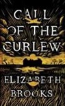 Elizabeth Brooks - Call of the Curlew