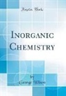 George Wilson - Inorganic Chemistry (Classic Reprint)