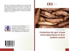 Sèmantê Fiacre Djossou - Production du gari à base d'une éplucheuse et d'un système solaire