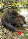 Uli Messlinger, Ulrich Messlinger - Entdecke die Biber