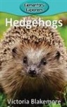 Victoria Blakemore - Hedgehogs