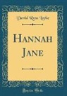 David Ross Locke - Hannah Jane (Classic Reprint)