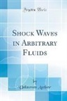 Unknown Author - Shock Waves in Arbitrary Fluids (Classic Reprint)