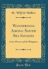 H. Wilfrid Walker - Wanderings Among South Sea Savages