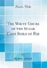 Robert Veitch - The White Grubs of the Sugar Cane Soils of Fiji (Classic Reprint)