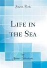 James Johnstone - Life in the Sea (Classic Reprint)