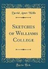 David Ames Wells - Sketches of Williams College (Classic Reprint)