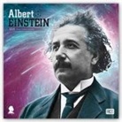 Not Available (NA) - Einstein 2019 Calendar