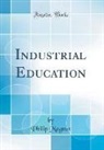 Philip Magnus - Industrial Education (Classic Reprint)