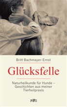 Britt Bachmayer-Ernst - Glücksfelle