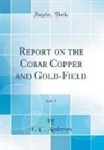 E. C. Andrews - Report on the Cobar Copper and Gold-Field, Vol. 1 (Classic Reprint)