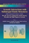Adrianus de Hoop, Dieter Guicking, Ardeshir Guran, Francesco Mainardi - Acoustic Interactions With Submerged Elastic Structures - Part Iii: Acoustic Propagation And Scattering, Wavelets And Time Frequency Analysis