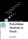 Ian M Davies, Ian M. Davies, Oubay Hassan, Niels Jacob, K. Morgan, Aubrey Truman... - Probabilistic Methods In Fluids, Proceedings Of The Swansea 2002 Workshop
