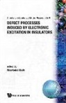 Noriaki Itoh - Defect Processes Induced By Electronic Excitation In Insulators