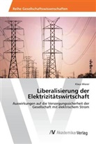 Klaus Wierer - Liberalisierung der Elektrizitätswirtschaft