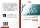 Guillaume Pellerin - Etude de la stérilité des hybrides chez Paramecium tetraurelia