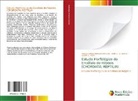 Lucélia G. Vieira, André L. Q. Santos, Lorena Tannus Menezes Dos Reis, Lucélia G. Vieira - Estudo Morfológico do Encéfalo de Répteis (CHORDATA: REPTILIA)
