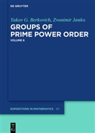 Yakov Berkovich, Yakov G Berkovich, Yakov G. Berkovich, Zvonimir Janko - Yakov Berkovich; Zvonimir Janko: Groups of Prime P - Volume 6: Groups of Prime Power Order. Volume 6