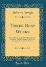 Andrew Carnegie - Three Busy Weeks